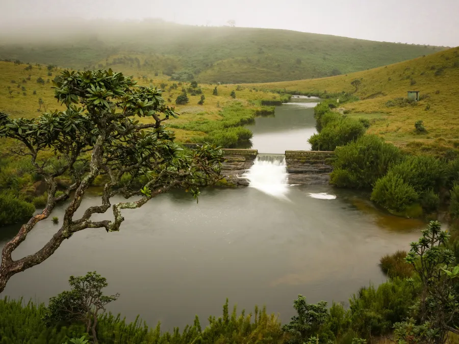 Horton Plains